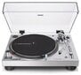 Ammattimainen levysoitin Audio-Technica AT-LP120X-USB ja AT-VM95E hinta ja tiedot | Vinyylilevysoittimet ja gramofonit | hobbyhall.fi