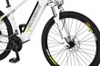 Sähköpyörä Ecobike SX3 14,5 Ah Greenway, valkoinen hinta ja tiedot | Sähköpyörät | hobbyhall.fi