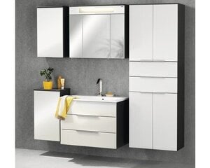 Korkea kylpyhuonekaappi Kara, tummanharmaa/valkoinen hinta ja tiedot | Kylpyhuonekaapit | hobbyhall.fi