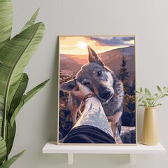 Numeromaalaus 40x50 cm. "Gray wolf" hinta ja tiedot | Maalaa numeroiden mukaan | hobbyhall.fi