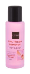 Gabriella Salvete Nail Polish Remover Fast & Easy kynsilakanpoistoaine 100 ml hinta ja tiedot | Kynsilakat ja kynsienhoitotuotteet | hobbyhall.fi