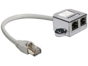 Delock - LAN-sovitin 1xRJ45 / 2xRJ45 Ethernet hinta ja tiedot | Adapterit | hobbyhall.fi