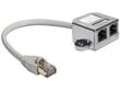 Delock - LAN-sovitin 1xRJ45 / 2xRJ45 Ethernet hinta ja tiedot | Adapterit | hobbyhall.fi