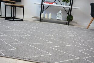 SENSE Micro 81249 ZIGZAG ETNO -matto, hopea/valkoinen hinta ja tiedot | Isot matot | hobbyhall.fi