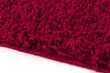 Shaggy Red, matto, 100x200 cm hinta ja tiedot | Isot matot | hobbyhall.fi