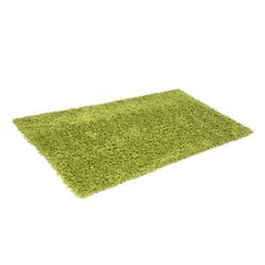 Matto Shaggy vaalean vihreä, 160x220 cm hinta ja tiedot | Isot matot | hobbyhall.fi