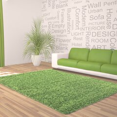 Matto Ayyildiz Shaggy Dream Green 4000, 120x170 cm hinta ja tiedot | Isot matot | hobbyhall.fi