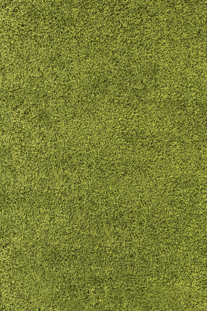 Matto Ayyildiz Shaggy Dream Green 4000, 120x170 cm hinta ja tiedot | Isot matot | hobbyhall.fi