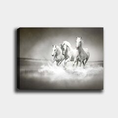 Sisustustaulu Valkoiset hevoset hinta ja tiedot | Taulut | hobbyhall.fi