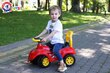 Työnnettävä auto äänillä hinta ja tiedot | Vauvan lelut | hobbyhall.fi