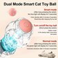 Interaktiivinen älypallo kissoille Smart Cat Ball hinta ja tiedot | Kissan lelut | hobbyhall.fi