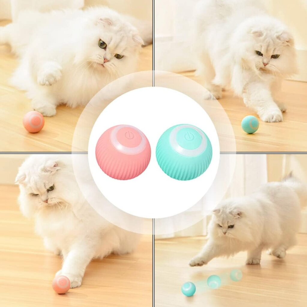 Interaktiivinen älypallo kissoille Smart Cat Ball hinta ja tiedot | Kissan lelut | hobbyhall.fi