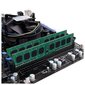 Silicon Power 8GB 1600MHz DDR3 CL11 (SP008GBLTU160N02) hinta ja tiedot | Muisti (RAM) | hobbyhall.fi