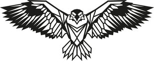 Seinäkoriste Eagle, metallinen, 100 x 44 cm, musta hinta ja tiedot | Sisustustuotteet | hobbyhall.fi
