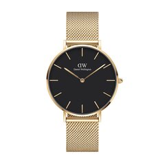 Daniel Wellington Petite 36 Evergold rannekello unisex hinta ja tiedot | Naisten kellot | hobbyhall.fi