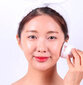 Medi-Peel 28 Days Perfect Cooling Skin - Viilentävä hierontalaite hinta ja tiedot | Kasvojen puhdistus- ja hierontalaitteet | hobbyhall.fi