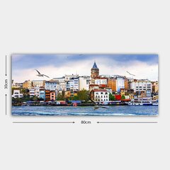 Sisustustaulu Lokit Galata tornissa, 80 x 30 cm hinta ja tiedot | Taulut | hobbyhall.fi