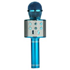 Langaton bluetooth-mikrofoni, kaiutin, FM-radio hinta ja tiedot | Kehittävät lelut | hobbyhall.fi