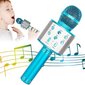 Langaton bluetooth-mikrofoni, kaiutin, FM-radio hinta ja tiedot | Kehittävät lelut | hobbyhall.fi