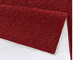 Hanse Home Pure Red, matto, 80x400 cm hinta ja tiedot | Isot matot | hobbyhall.fi