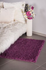 Shaggy Violet, matto 120 cm x 170 cm hinta ja tiedot | Isot matot | hobbyhall.fi