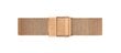 Naisten rannekello Daniel Wellington Petite 28 Melrose hinta ja tiedot | Naisten kellot | hobbyhall.fi