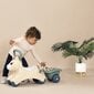 Smoby Little First Baby Pony trailerilla hinta ja tiedot | Poikien lelut | hobbyhall.fi