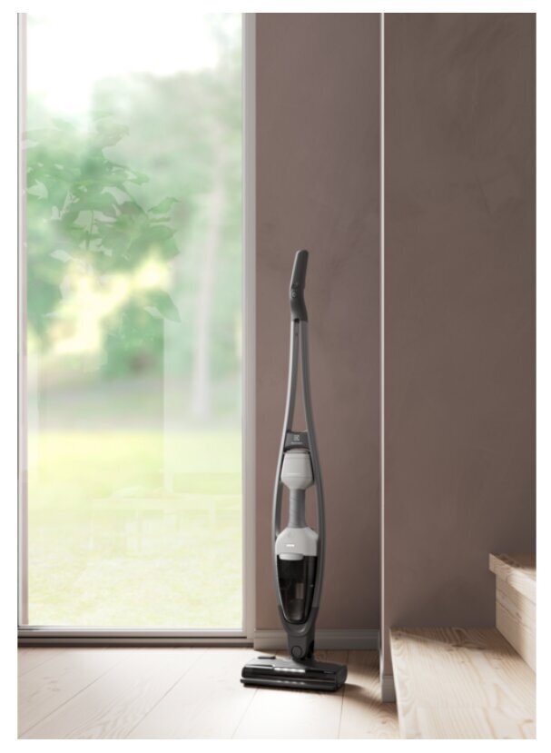 Electrolux 600 Series ES62HB25UV hinta ja tiedot | Varsi-imurit | hobbyhall.fi