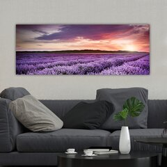 Sisustustaulu Laventelipelto, 30 x 80 cm hinta ja tiedot | Taulut | hobbyhall.fi