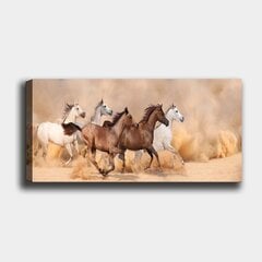 Sisustustaulu Hevonen, 30 x 80 cm hinta ja tiedot | Taulut | hobbyhall.fi