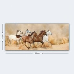 Sisustustaulu Hevonen, 30 x 80 cm hinta ja tiedot | Taulut | hobbyhall.fi