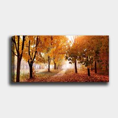 Sisustustaulu Värikäs syksy, 30 x 80 cm hinta ja tiedot | Taulut | hobbyhall.fi