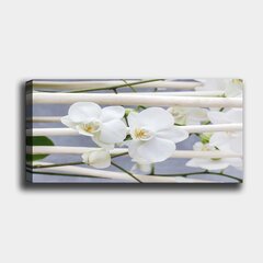 Sisustustaulu Valkoiset orkideat, 30 x 80 cm hinta ja tiedot | Taulut | hobbyhall.fi