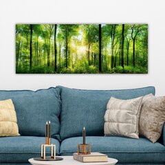 Sisustustaulu Vihreä luonto, 30 x 80 cm hinta ja tiedot | Taulut | hobbyhall.fi