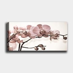Sisustustaulu Orkidea, 30 x 80 cm hinta ja tiedot | Taulut | hobbyhall.fi