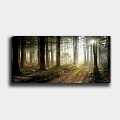 Sisustustaulu Auringonvalo, 30 x 80 cm hinta ja tiedot | Taulut | hobbyhall.fi