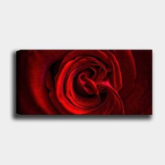 Sisustustaulu Ruusun terälehdet, 30 x 80 cm hinta ja tiedot | Taulut | hobbyhall.fi