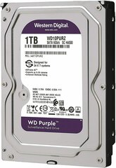 Western Digital WD Purple 1TB SATA III (WD10PURZ) hinta ja tiedot | Kovalevyt | hobbyhall.fi