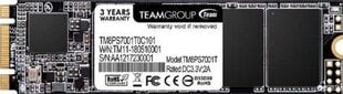 Team Group TM8PS7512G0C101 hinta ja tiedot | Kovalevyt | hobbyhall.fi