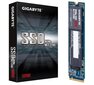 Gigabyte GP-GSM2NE3512GNTD hinta ja tiedot | Kovalevyt | hobbyhall.fi