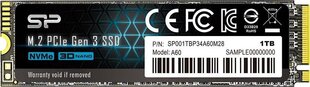 SILICONPOW SP001TBP34A60M28 hinta ja tiedot | Kovalevyt | hobbyhall.fi