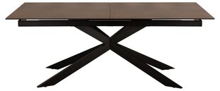 Bendt Irwine ruokapöytä, 200-240x100 cm, ruskea hinta ja tiedot | Ruokapöydät | hobbyhall.fi