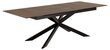 Bendt Irwine ruokapöytä, 200-240x100 cm, ruskea hinta ja tiedot | Ruokapöydät | hobbyhall.fi