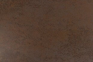 Bendt Irwine ruokapöytä, 200-240x100 cm, ruskea hinta ja tiedot | Bendt Huonekalut ja sisustus | hobbyhall.fi