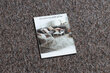 Matto SUPERSTAR 310 beige ruskea hinta ja tiedot | Isot matot | hobbyhall.fi