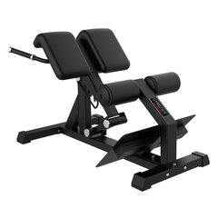 Harjoituspenkki Gymstick Back Bench Pro hinta ja tiedot | Treenipenkit | hobbyhall.fi