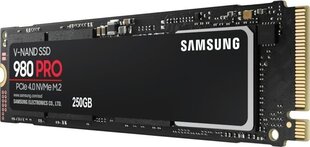Samsung MZ-V8P250BW hinta ja tiedot | Kovalevyt | hobbyhall.fi