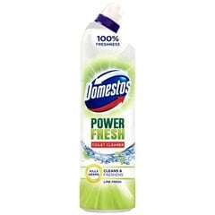 Domestos Total Hygiene WC-puhdistusaine Lime, 700ml, 6 paketin sarja hinta ja tiedot | Domestos Koti ja keittiö | hobbyhall.fi