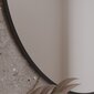 Divissi pyöreä riippupeili, 60x60 cm hinta ja tiedot | Peilit | hobbyhall.fi