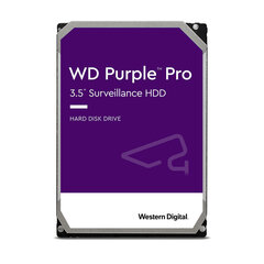 WD WD101PURP hinta ja tiedot | Kovalevyt | hobbyhall.fi